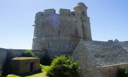Discover the Fascinating Island of Tatihou in Normandy