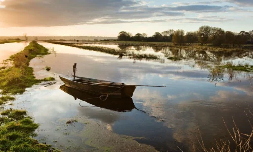 Marais du Cotentin et du Bessin – Nature in Normandy